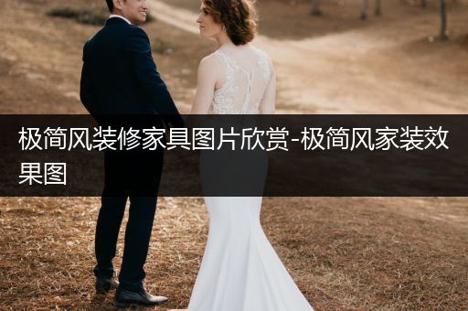 极简风装修家具图片欣赏-极简风家装效果图