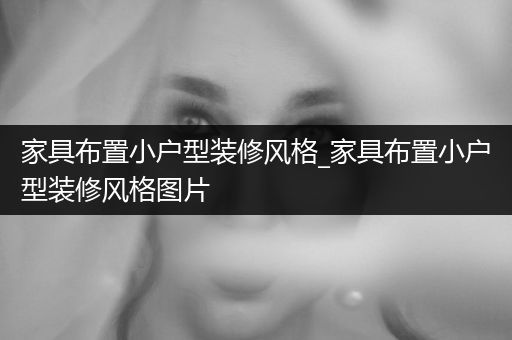 家具布置小户型装修风格_家具布置小户型装修风格图片