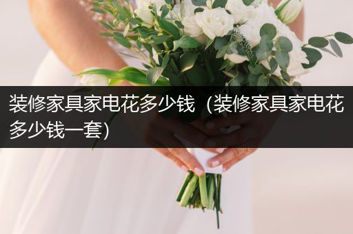 装修家具家电花多少钱（装修家具家电花多少钱一套）