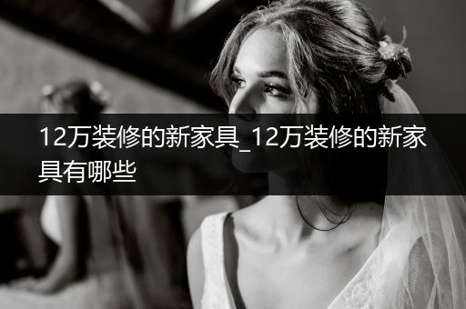 12万装修的新家具_12万装修的新家具有哪些